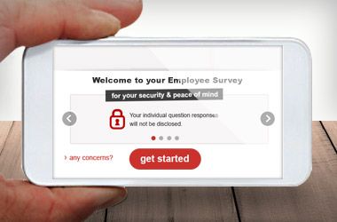 Accessible responsive online survey